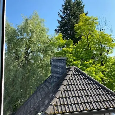Mitten Im Gruenen